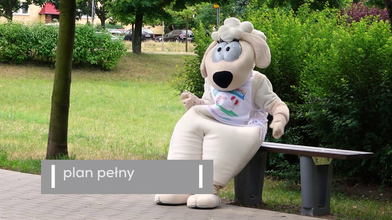 Maly Przewodnik Katolicki Owca Magda Plany Filmowe Youtube