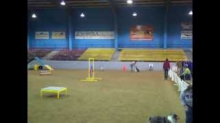 Tika CPE Agility Fullhouse Level 3