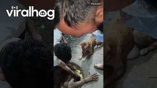 Man Climbs Down to Sewers to Save Puppy || ViralHog
