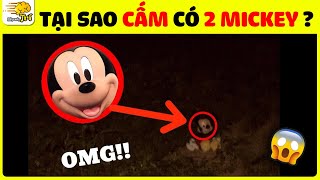 💧[TỔNG HỢP Hay Nhất 2024] 55+ Bí Ẩn Bị Che Giấu Về Doraemon, Mickey, Hello Kitty Và Talking Tom