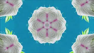 Patchwork (Official Video)
