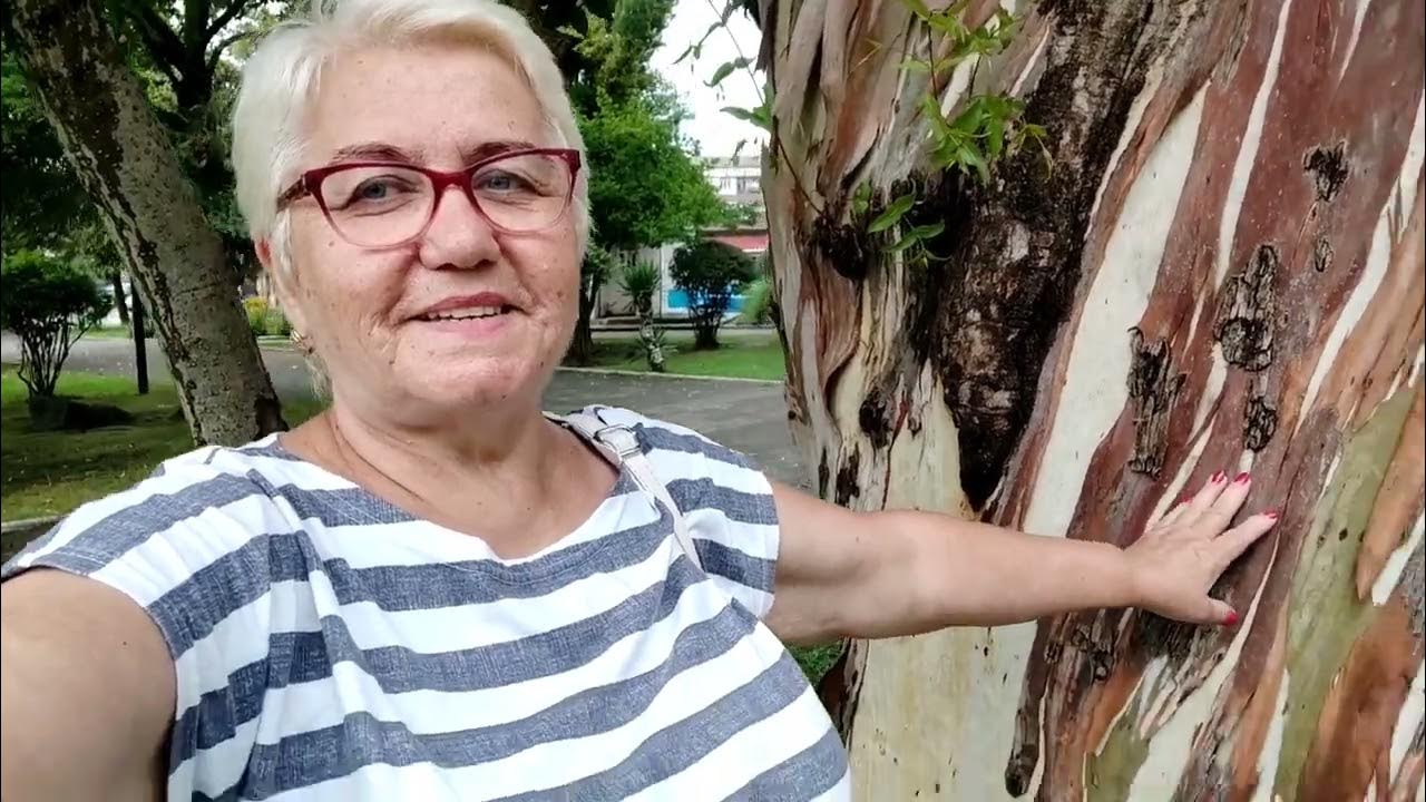 Здравствуй Абхазия