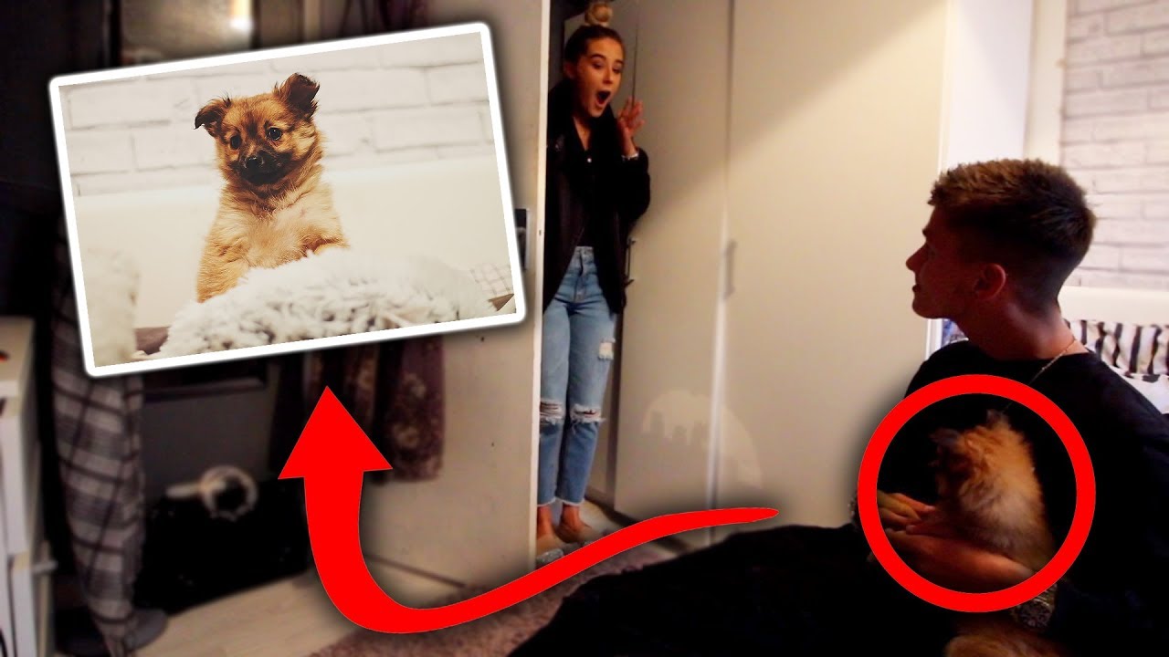 SURPRISING MY GIRLFRIEND WITH A NEW PUPPY!!!