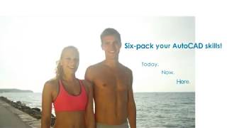 Six-pack your AutoCAD Skills - 01 useful settings