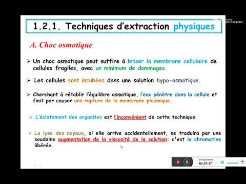 Vidéo: Étude Comparative Des Prétraitements Au Sulfite Pour Une Saccharification Enzymatique Robuste Des Résidus D'épis De Maïs