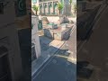 Falcons Cross Smoke From Long On Dust 2 #shorts #cs2