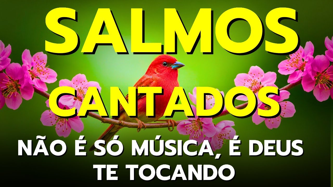🎵OS MELHORES LOUVORES PARA ACALMAR A ALMA 2025 | SALMOS CANTADOS  | BÍBLIA EM LOUVOR
