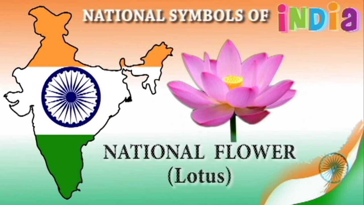 National Symbols of India for Kids | Indian National Symbols | GK ...