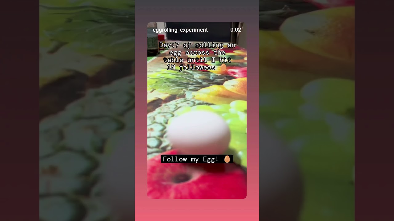 Day 7: Egg Rolling Experiment 🥚