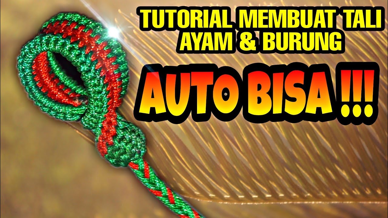 Cara membuat tali ayam & burung || motif tulang ikan || AUTO BISA