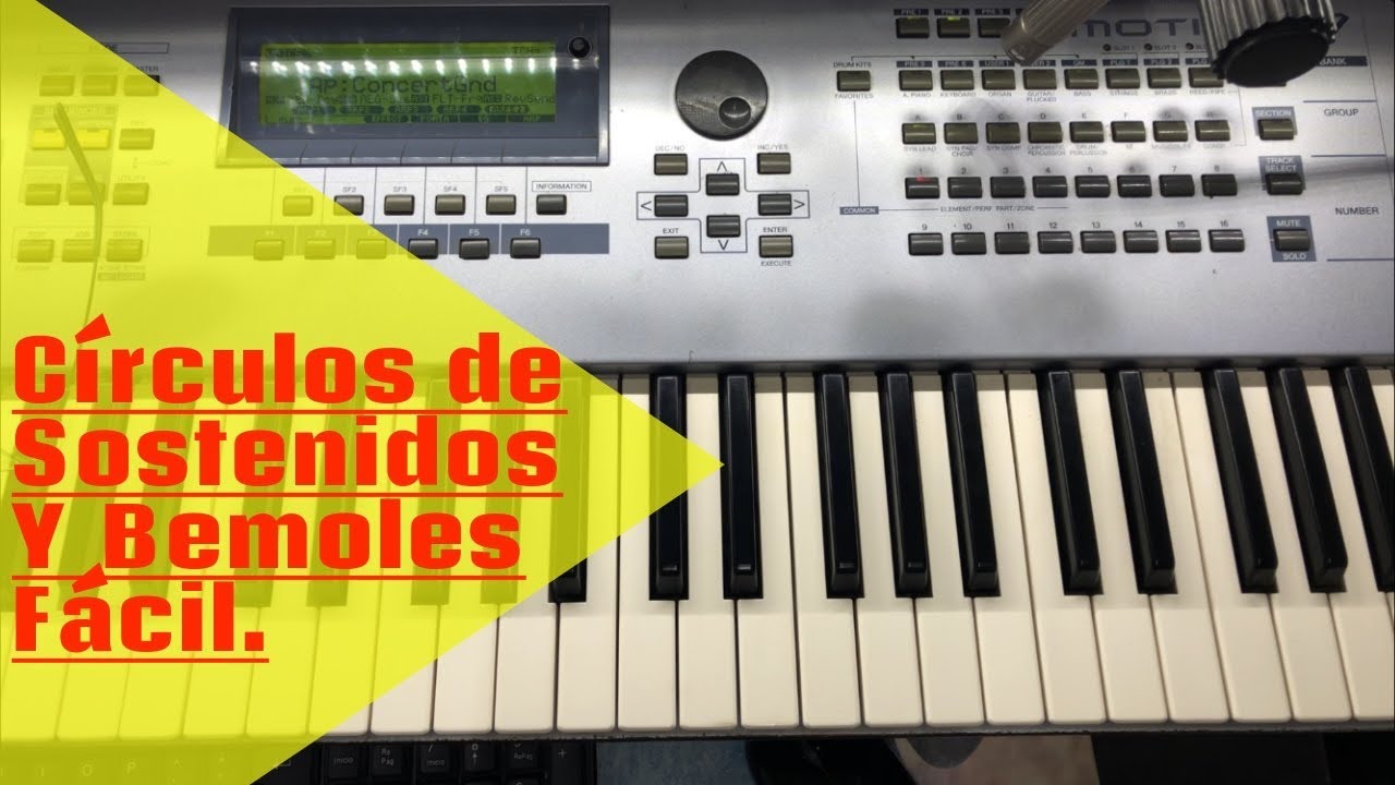 Circulos / Sostenidos y Bemoles / Teclado facil / Principiantes