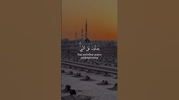 Сура аль Ахзоб оят 56 سوره الاحزاب محمد رعد الكردي