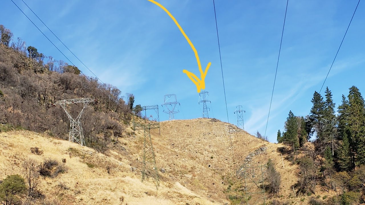 Coffee Hour with California's Dying Forests