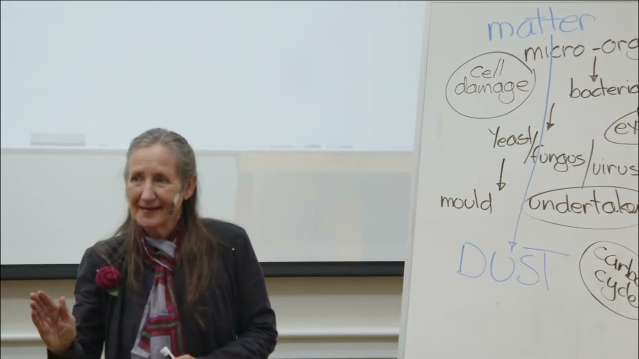 Antibiotics: Alexander Fleming's Accidental Discovery & Modern Dangers