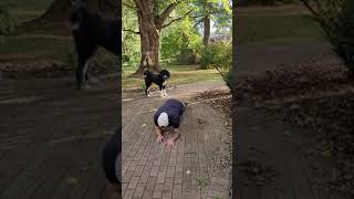 Commando Crawl