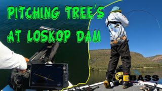 Pitching tree's at Loskop dam