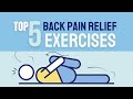 5 effective back pain relief exercises  strengthen your lower back  medilab zone