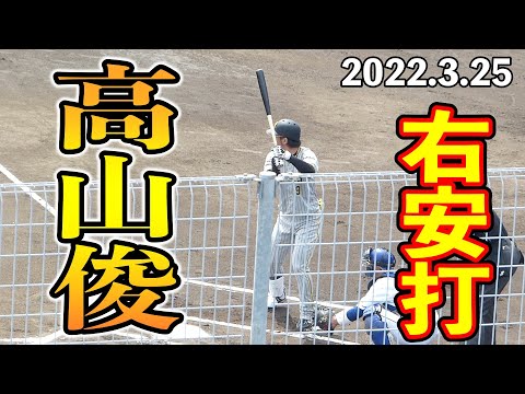 阪神タイガース高山俊のライト前ヒット【2022年3月25日 対中日ドラゴンズ プロ野球 2軍ファーム戦 ウエスタンリーグ ナゴヤ球場】