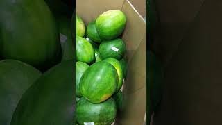 When You Try To Cut A Watermelon