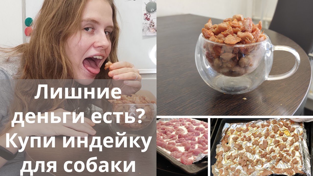 Кормите вкусным и полезным собаку? Используйте индейку в поощрении на ...