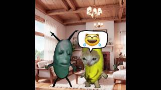 Download Lagu Banana Cat 🍌🐱 Didn't Believe In Stare Cat 👀❌ MP3