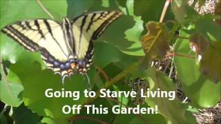 Gunna Starve Living Off This Garden!