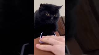 Ищи группу KOFE на всех музыкальных площадках!
