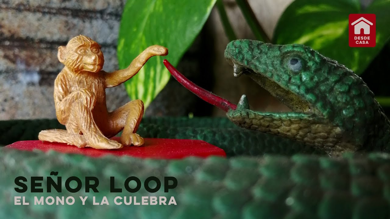 Señor Loop - El Mono y la Culebra (Desde Casa)