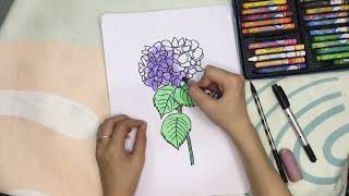 Vẽ và tô màu bức tranh hoa cẩm tú cầu phần 2