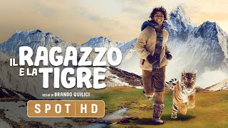 Il Ragazzo e la Tigre | Dal 14 Ottobre al Cinema | Spot 30" HD