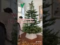 Tiktok Viral Video | The right way to put your Christmas tree lights on