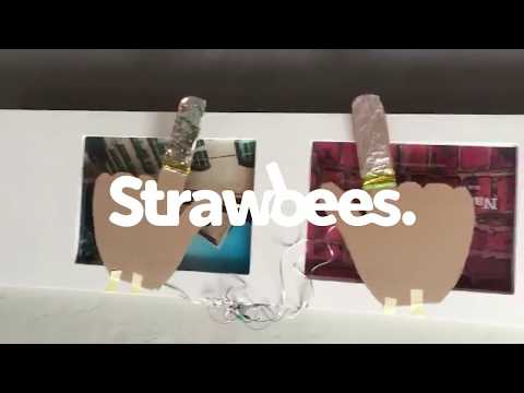 Musical Instruments Workshop by Strawbees