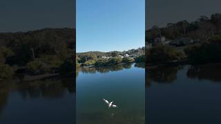 Mr Percival Dji Avata 2