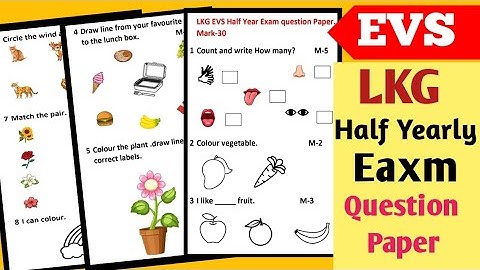 LKG EVS Half Yearly Exam question Paper 2025|LKG Class EVS Half Yearly Exam Paper |LKG EVS