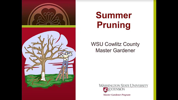Summer pruning