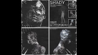 VELSSER Feat. SADNEY |  SHADY  ( Lyric video )