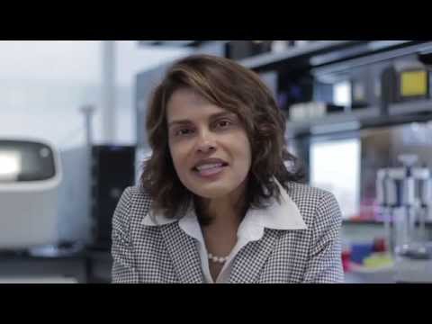 Molecular Diagnostic Tests in Children With Autism Spectrum Disorder