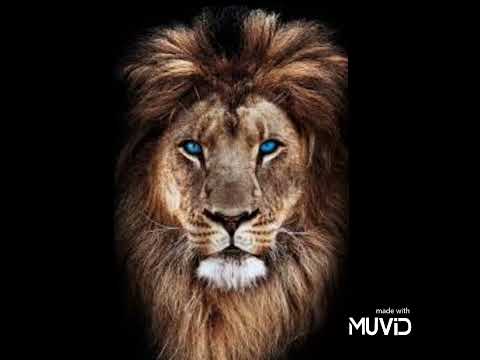 2022 Answer Riddim Instrumental
