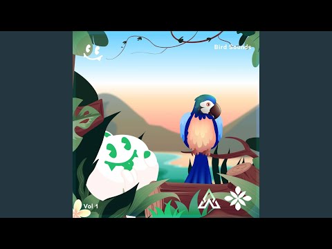 Watch Bird Sounds Part 9 on YouTube