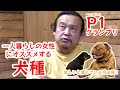 【P1グランプリ】一人暮らしの女性にオススメする犬種【ベスト5】
