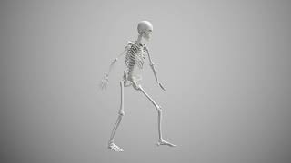 Copyright free, No copyright, Royalty free stock footage, Video background for youtube || Skeleton
