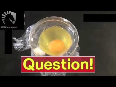 Why vegetarians don't eat eggs