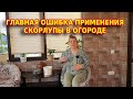 Главная ошибка применения скорлупы в огороде для урожая