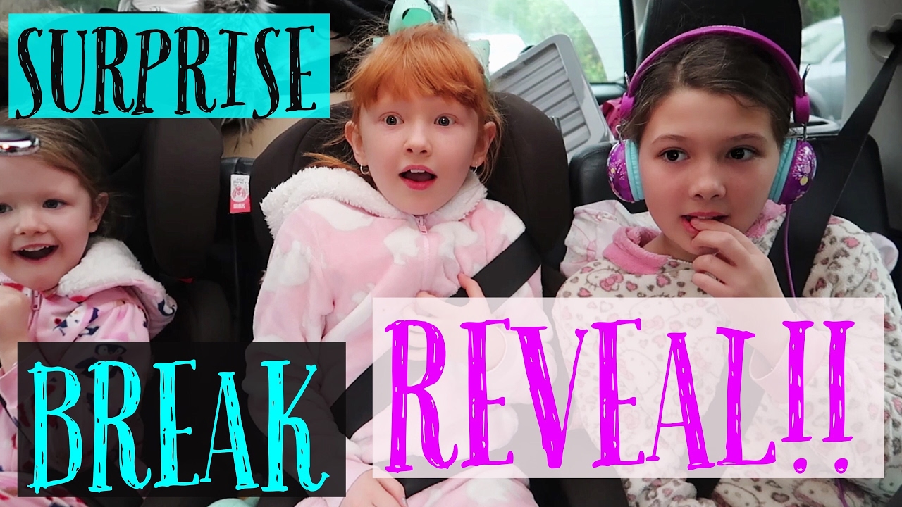 SURPRISE BREAK REVEAL!!