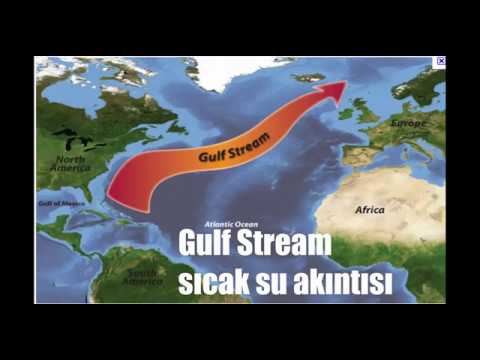 Abd ve AB&rsquo;nin gizlediği Gulf Stream Sıcak Su Akıntısı nedir ?