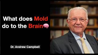 What does mold do to the brain 🧠  | Dr  Andrew Campbell