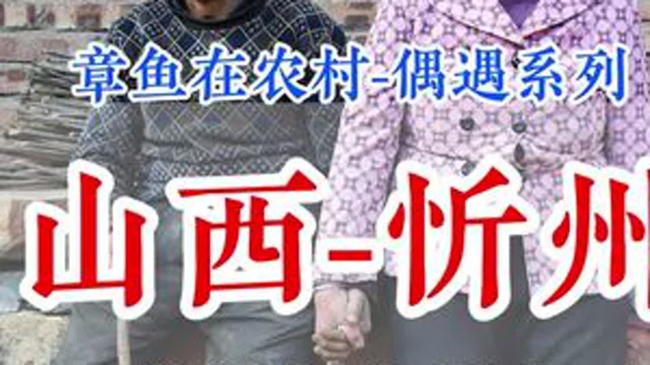 今天又是给老舅拍照的一天，如果粉丝对银盘蘑菇有了解的，可以打在评论区哈 