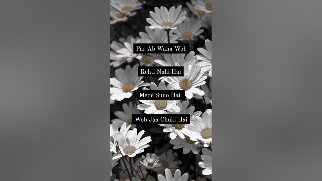 Ghar Se Nikalte Hi | Arman Malik | Love Song | WhatsApp Status #shortsfeed #youtubeshorts #viral Ghar Se Nikalte Hi | Arman Malik | Love Song | WhatsApp Status #shortsfeed #youtubeshorts #viral