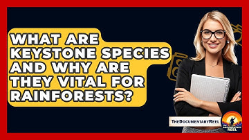 What Are Keystone Species And Why Are They Vital For Rainforests? - The Documentary Reel