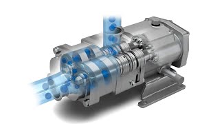 FDS Hygienic Twin Screw Pump Flow Animation